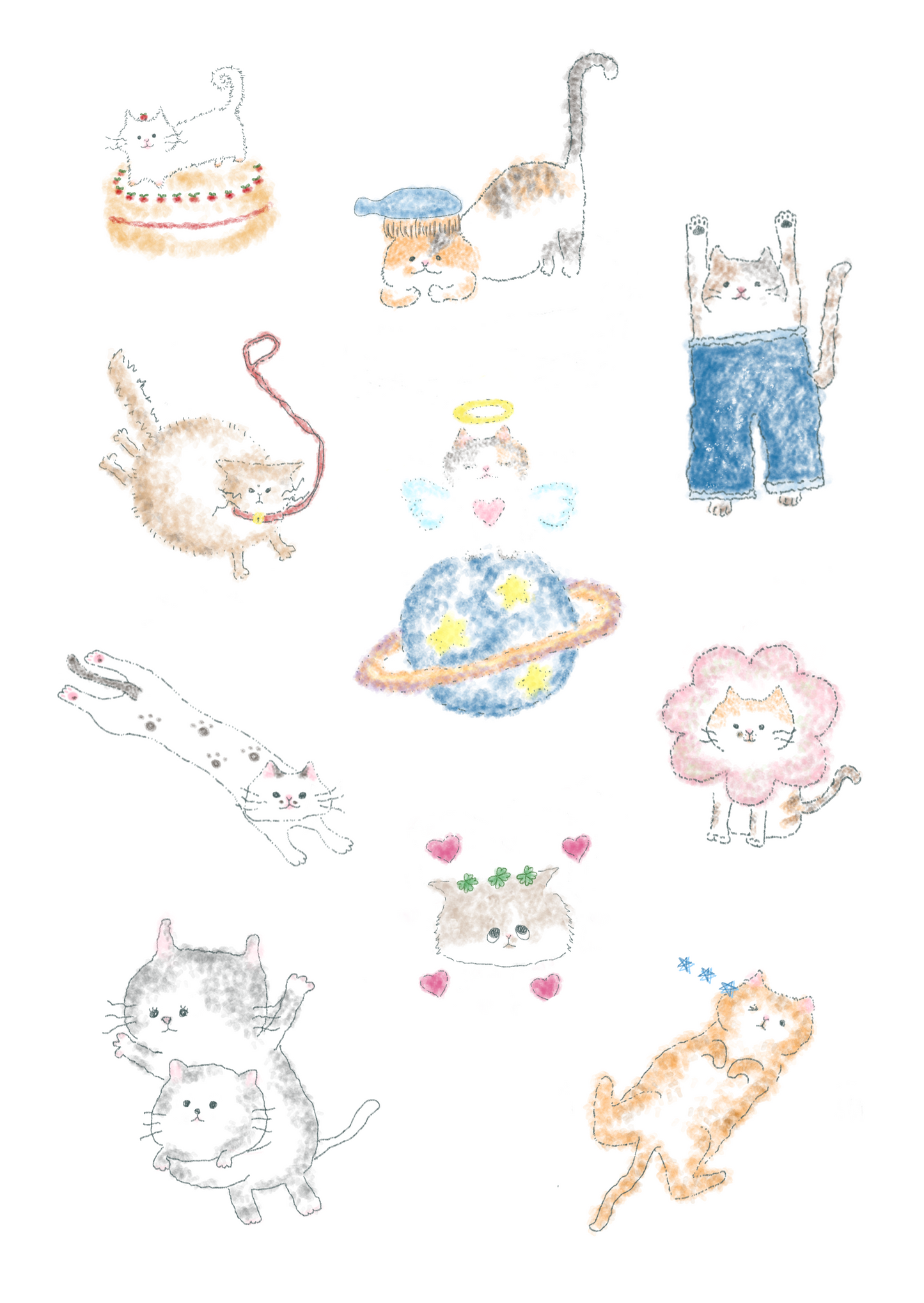About Cat